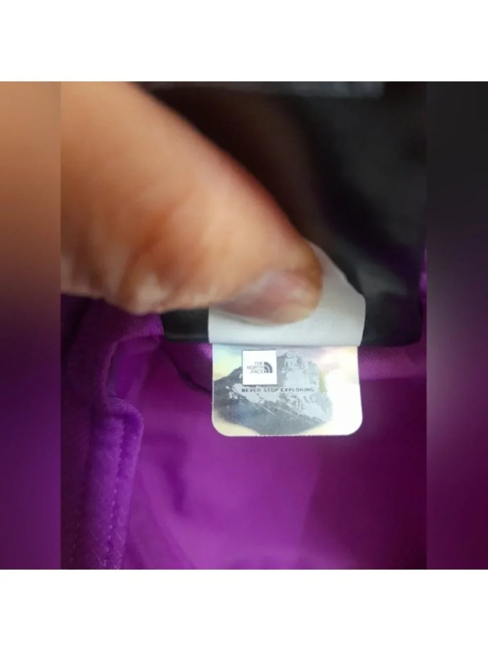 The North Face brand north